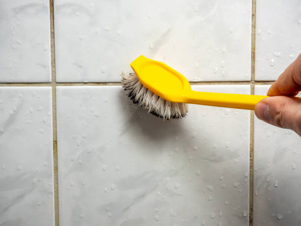 Baxter Village, SC Mold Remediation Company
