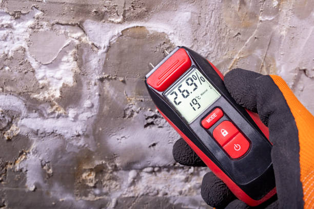 Best Attic Mold Remediation in Baxter Village, SC