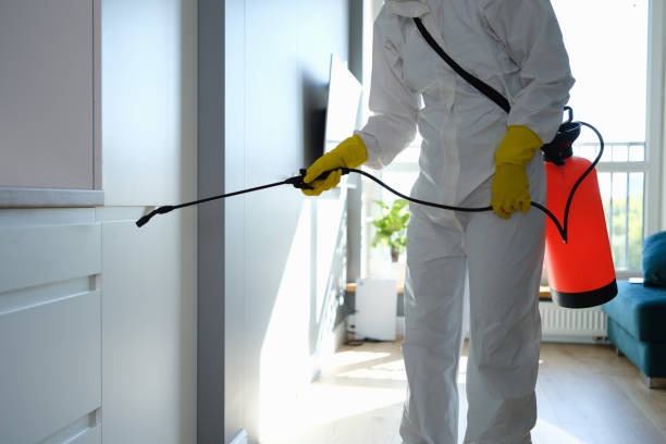 Best HVAC Mold Remediation in Baxter Village, SC